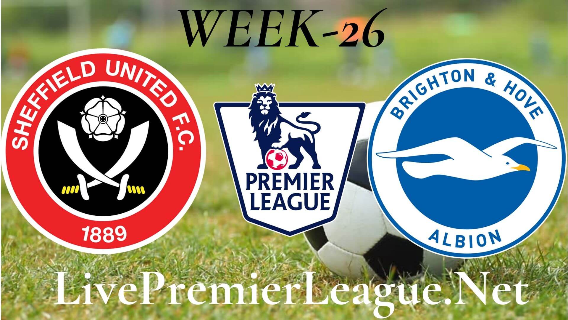 Sheffield United Vs Brighton and Hove Albion Live Stream  EPL Week 27